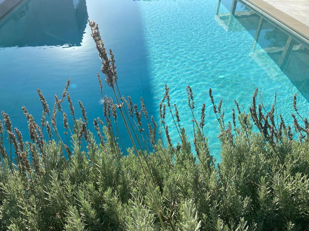 Rosemarine Villas Durrës Zewnętrze zdjęcie