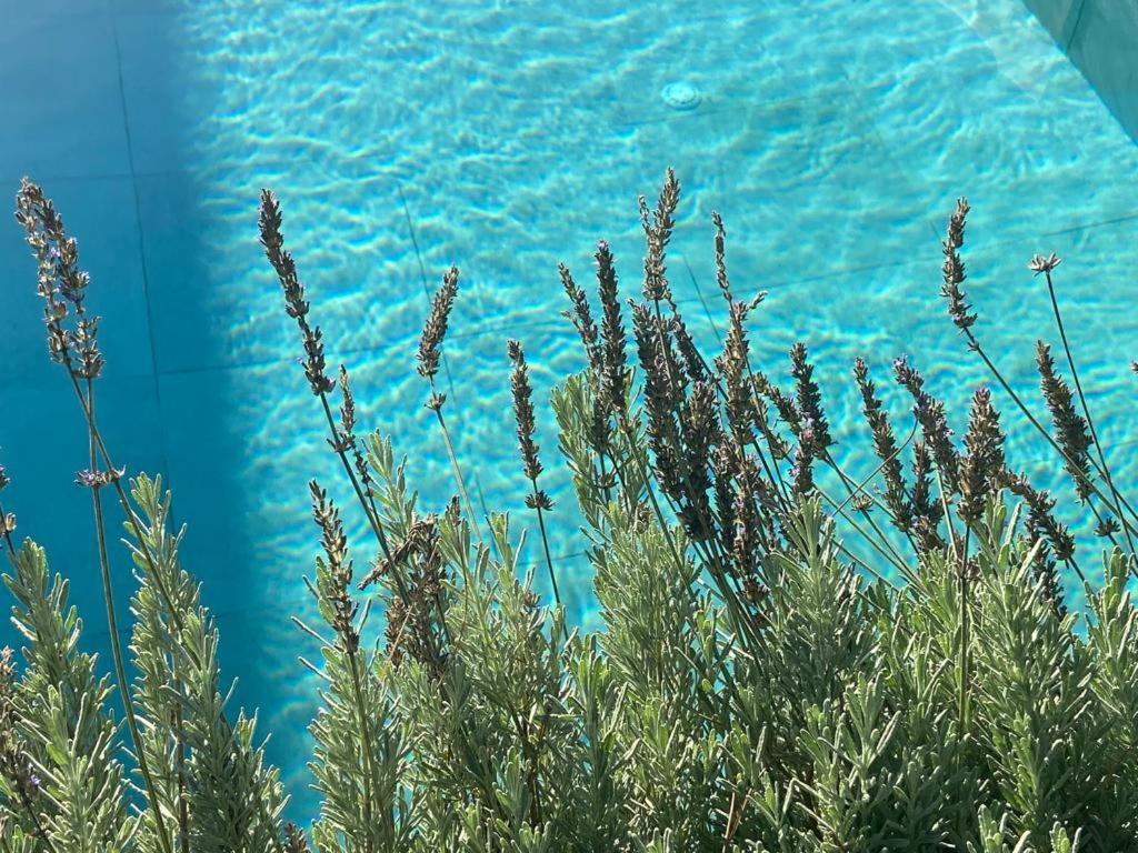 Rosemarine Villas Durrës Zewnętrze zdjęcie