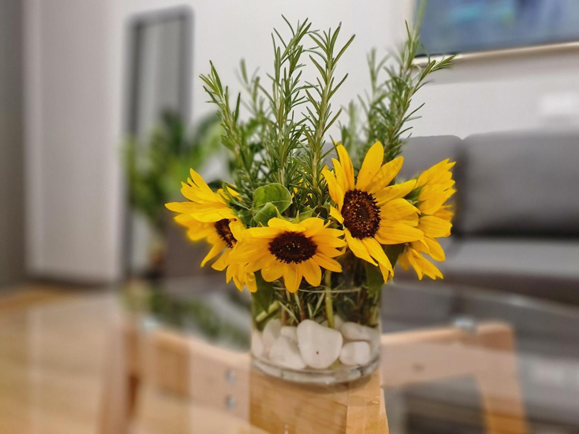 Rosemarine Villas Durrës Zewnętrze zdjęcie