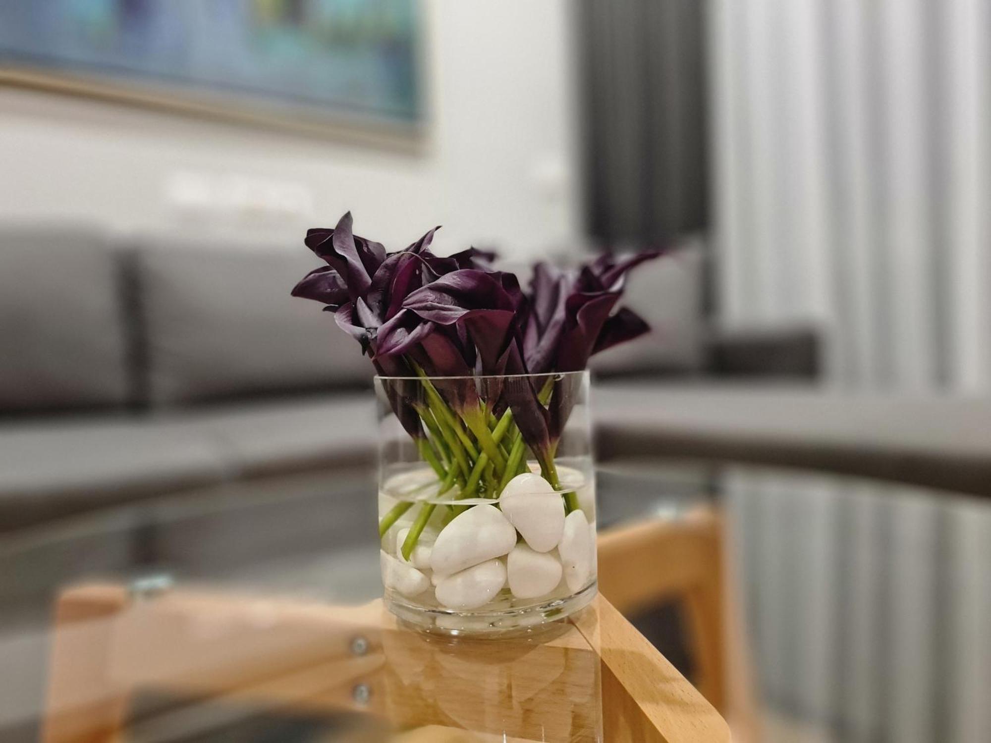 Rosemarine Villas Durrës Zewnętrze zdjęcie